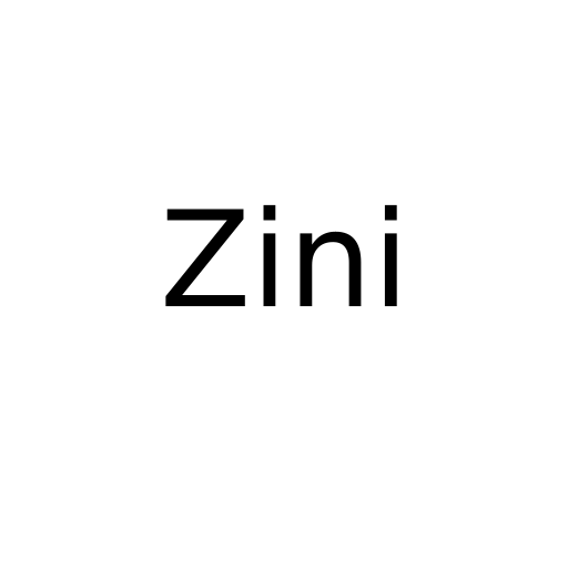 Логотип бренду Zini