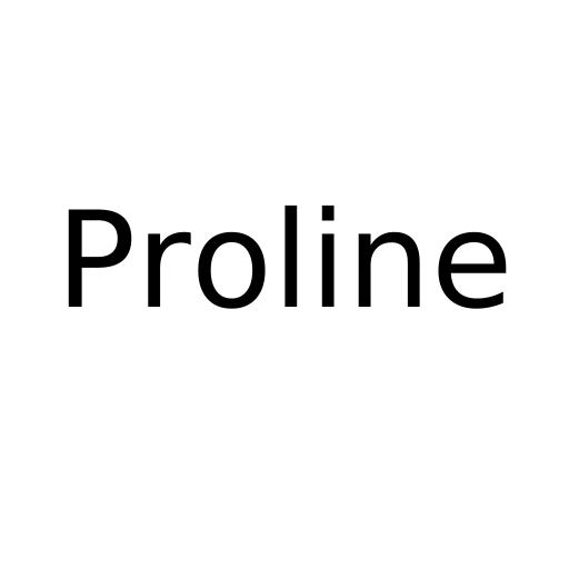 Логотип бренду Proline