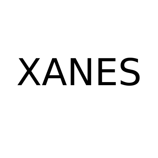 Логотип бренду XANES