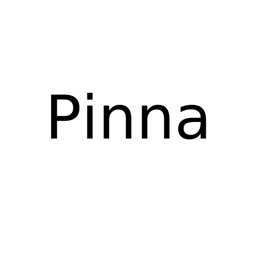 Логотип бренду Pinna