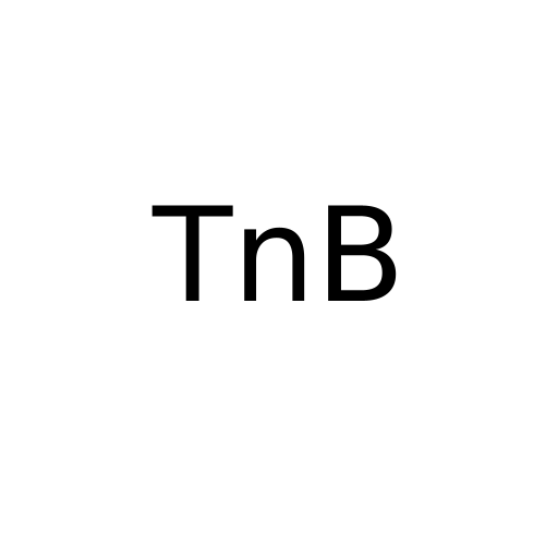 Логотип бренду TnB