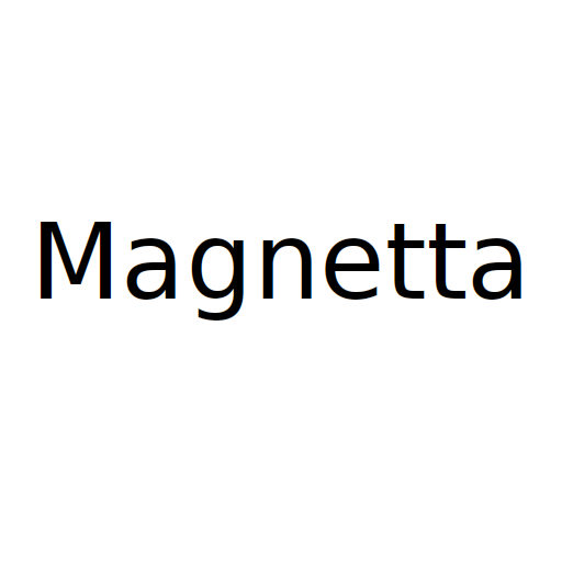 Логотип бренду Magnetta