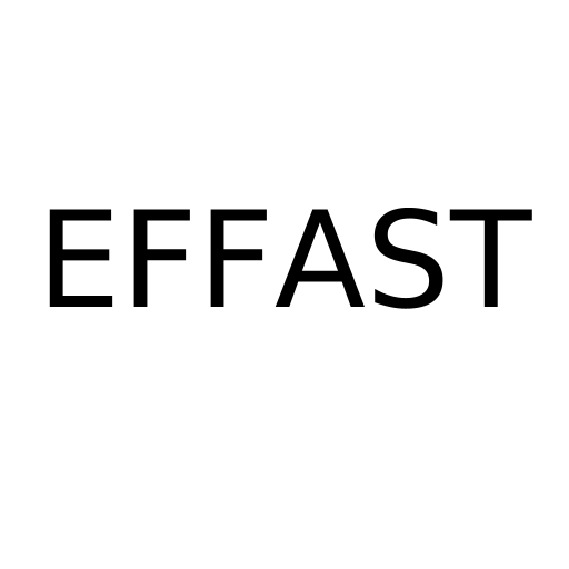 Логотип бренда EFFAST