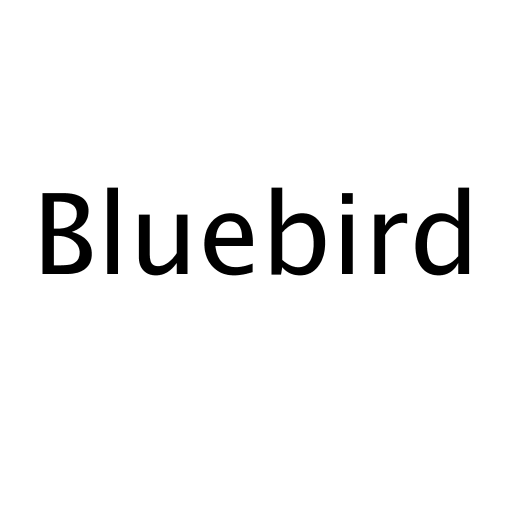 Логотип бренда Bluebird