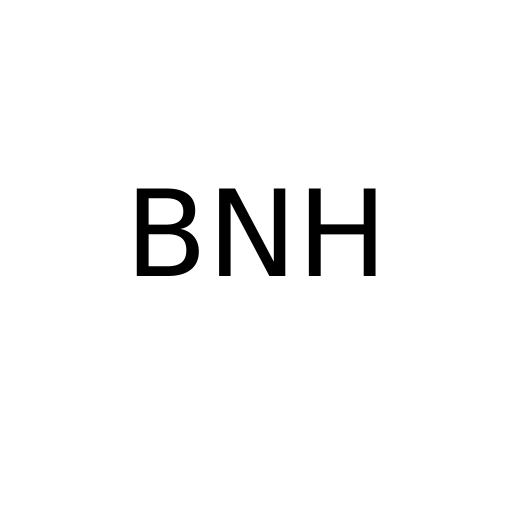 Логотип бренда BNH