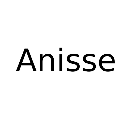 Логотип бренду Anisse