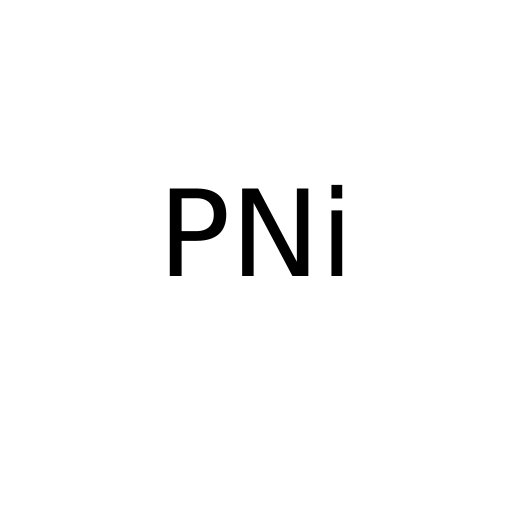 Логотип бренду PNi