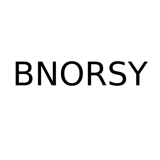 Логотип бренду BNORSY