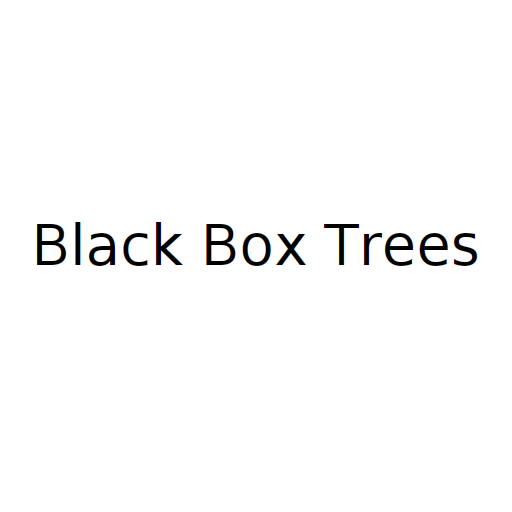 Логотип бренду Black Box Trees
