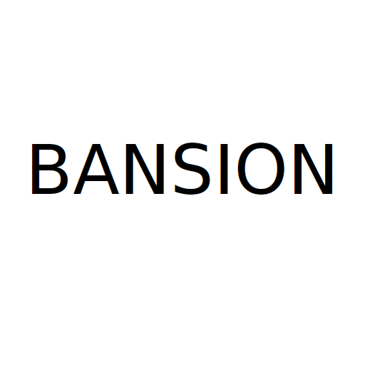 Логотип бренду BANSION
