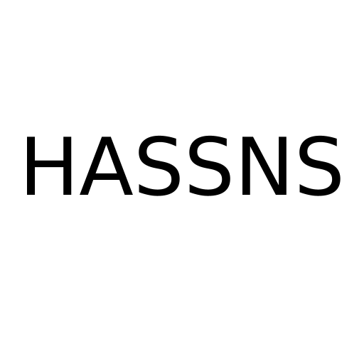 Логотип бренда HASSNS