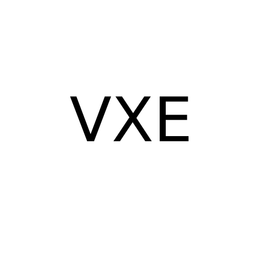 Логотип бренду VXE