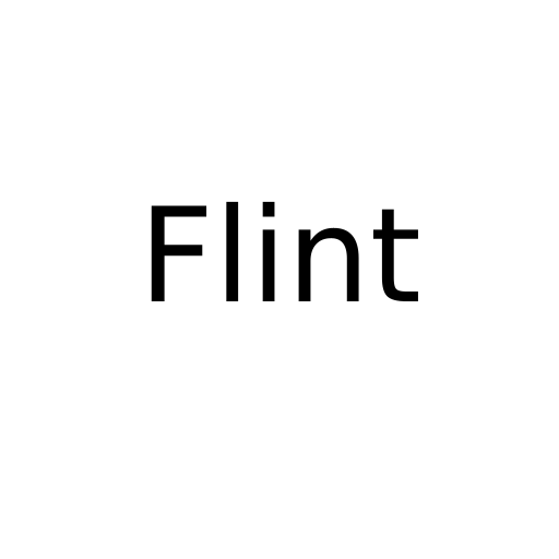Логотип бренду Flint