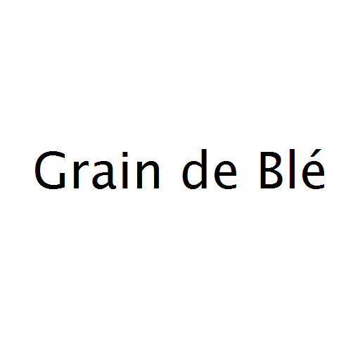 Grain de Blé