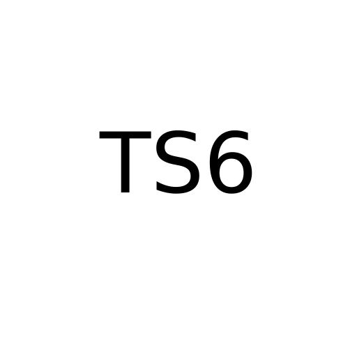 Логотип бренду TS6