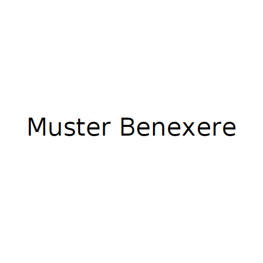 Логотип бренда Muster Benexere