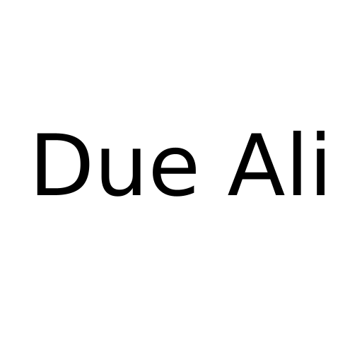 Логотип бренда Due Ali