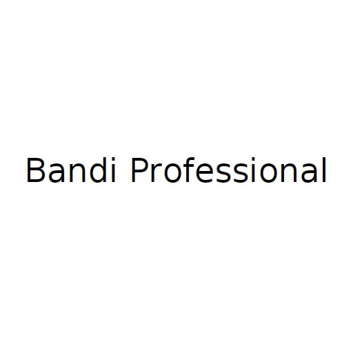 Логотип бренду Bandi Professional