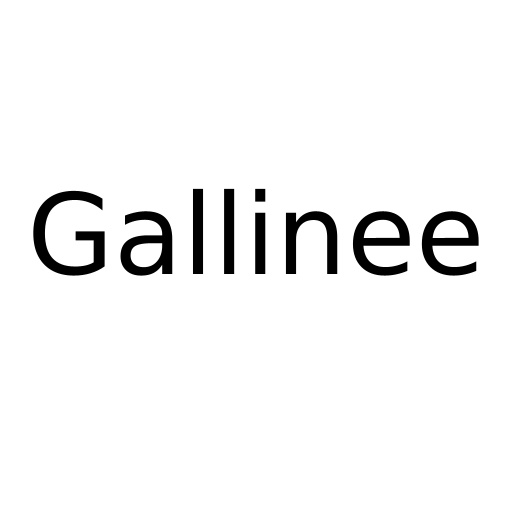 Логотип бренда Gallinee