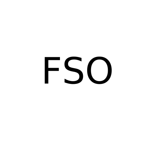 Логотип бренду FSO