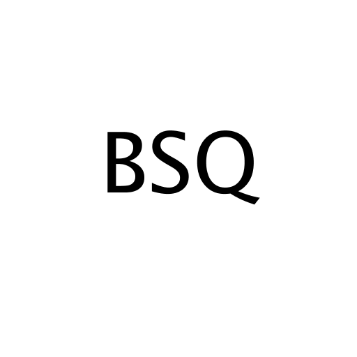 Логотип бренду BSQ