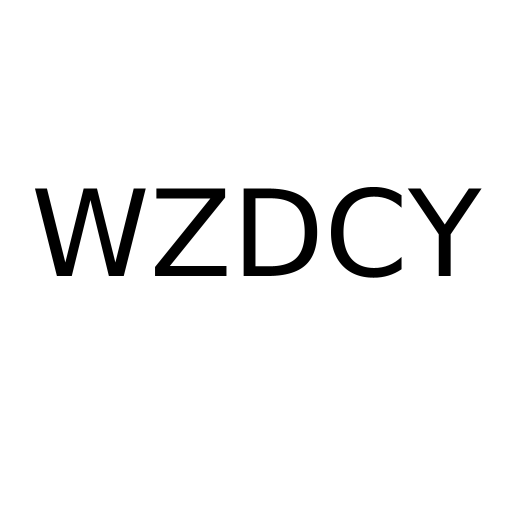 Логотип бренду WZDCY