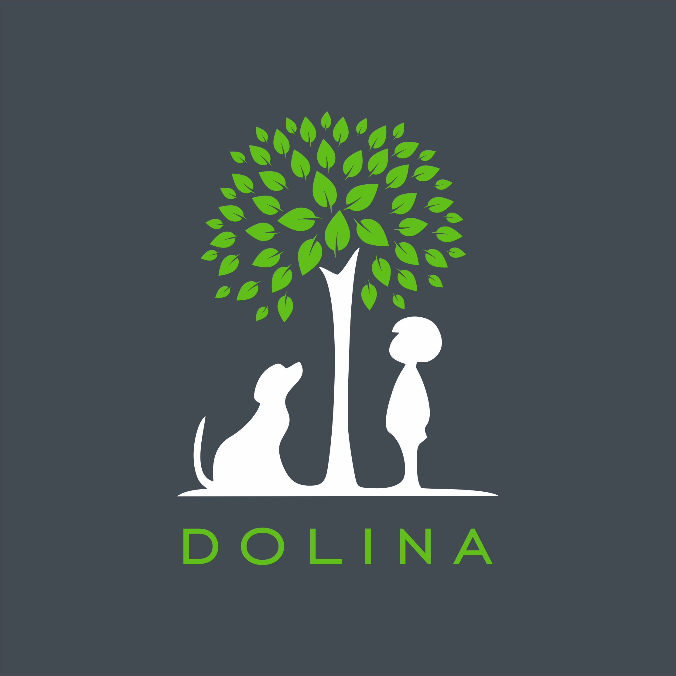 Логотип бренду DOLINA