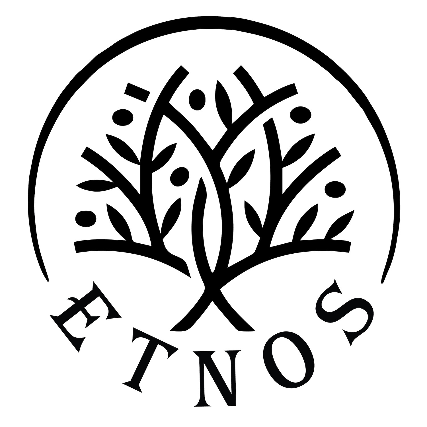 Логотип бренда ETNOS