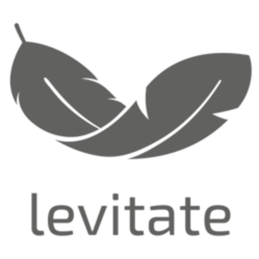 Логотип бренда Levitate