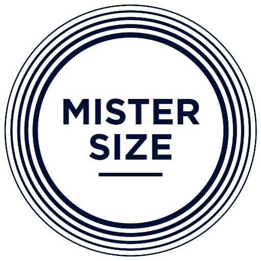 Логотип бренда Mister Size