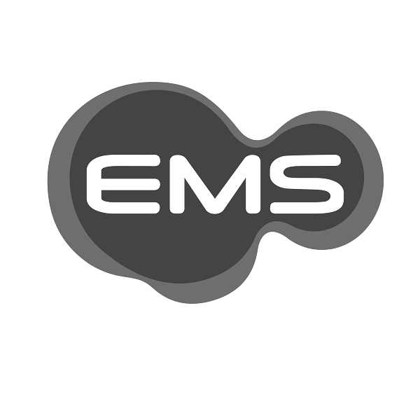 Логотип бренда EMS
