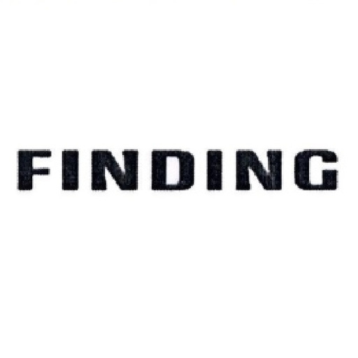Логотип бренду Finding