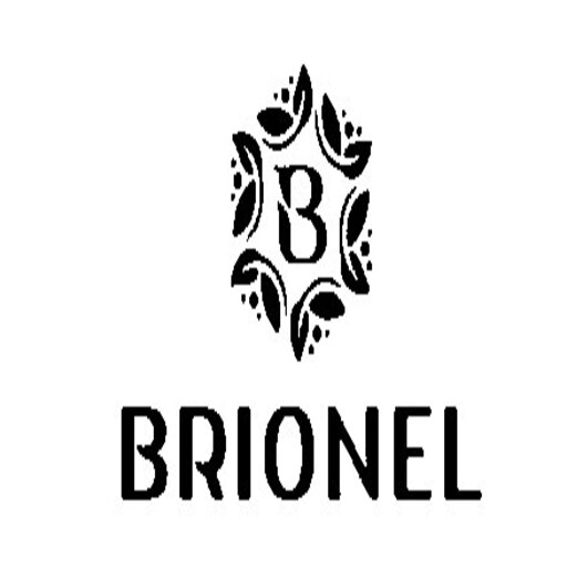 Логотип бренду BRIONEL