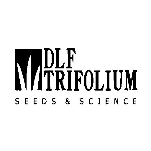 Логотип бренду DLF Trifolium