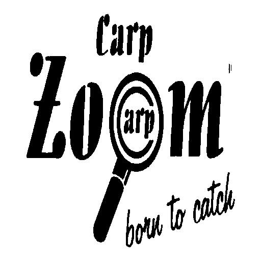Логотип бренда CarpZoom
